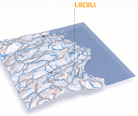 3d view of Loculi