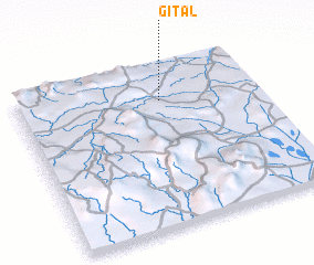 3d view of Gital