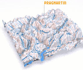 3d view of Pragmartin