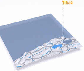 3d view of Tinja