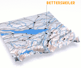 3d view of Bettensweiler