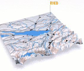 3d view of Ried