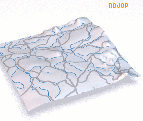 3d view of Ndjop