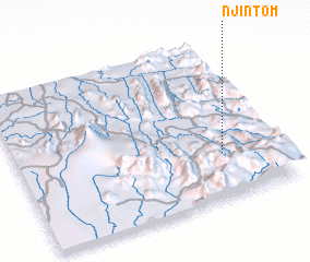 3d view of Njintom