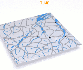 3d view of Tuje