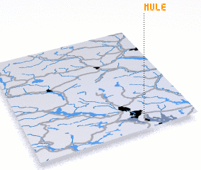 3d view of Mule