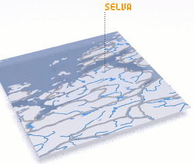 3d view of Selva