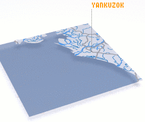 3d view of Yankuzok