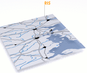 3d view of Ris