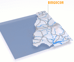 3d view of Bingocom