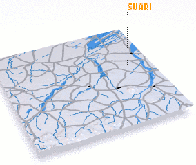 3d view of Suari