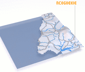 3d view of Ncogoekie