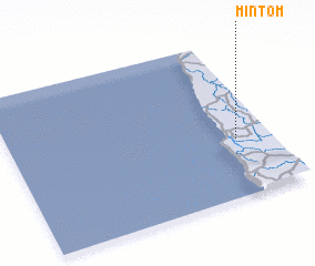 3d view of Mintom