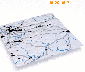 3d view of Burgholz