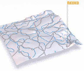 3d view of Nkuko