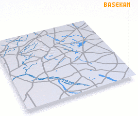 3d view of Basekam