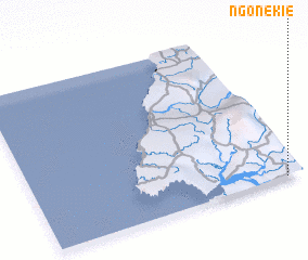 3d view of Ngonekie