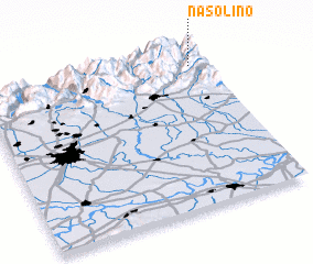 3d view of Nasolino