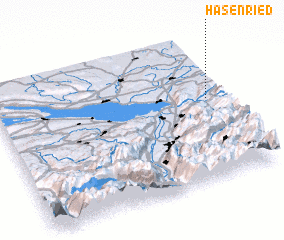 3d view of Hasenried