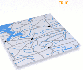 3d view of True