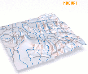 3d view of Mbguri