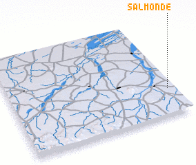 3d view of Salmonde