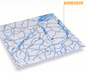 3d view of Womborum