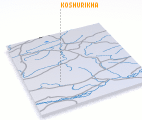 3d view of Koshurikha