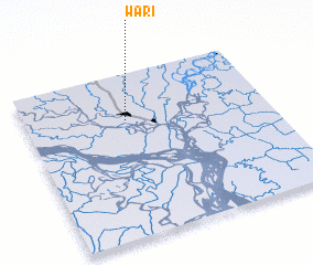 3d view of Wari