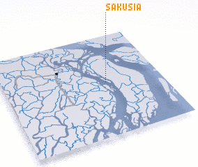 3d view of Sākusia