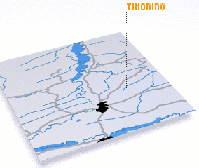 3d view of Timonino