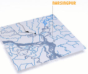 3d view of Narsingpur