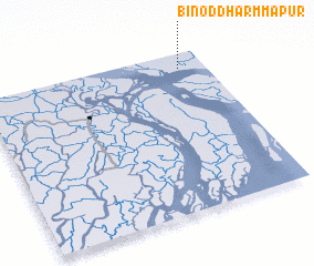 3d view of Binod Dharmmapur