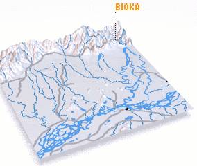 3d view of Bioka