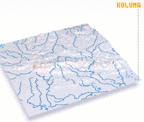 3d view of Koluma