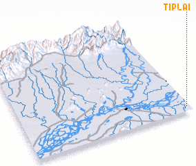 3d view of Tiplai