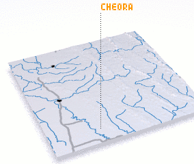 3d view of Cheora