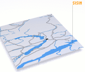 3d view of Sisim