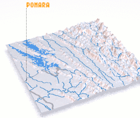 3d view of Pomara