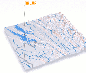 3d view of Nalua