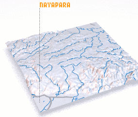 3d view of Nayāpāra