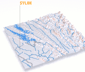 3d view of Sylok