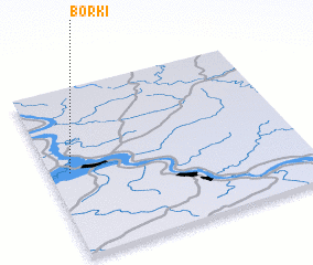 3d view of Borki