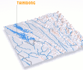 3d view of Taimidong