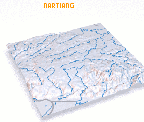 3d view of Nartiang