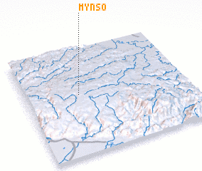 3d view of Mynso