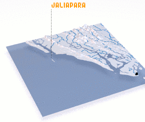 3d view of Jaliāpāra