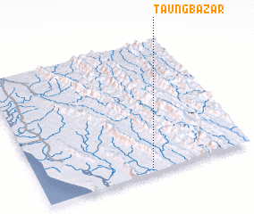 3d view of Taung Bāzār