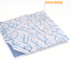 3d view of Pinigyaung