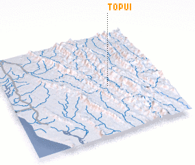 3d view of Topui